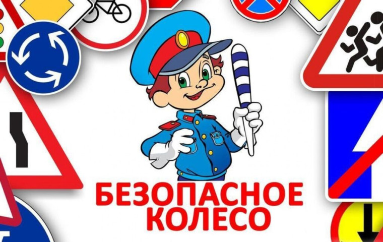 Областной этап конкурса-соревнования «Безопасное колесо-2025».